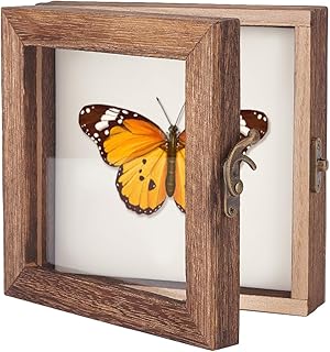 AHANDMAKER Insect Display Case Shadow Box for Insect Display with Clear Top Insect Specimen Storage Box Wood Insect Storage Case for Collecting Specimen, 6 x 6 Inch