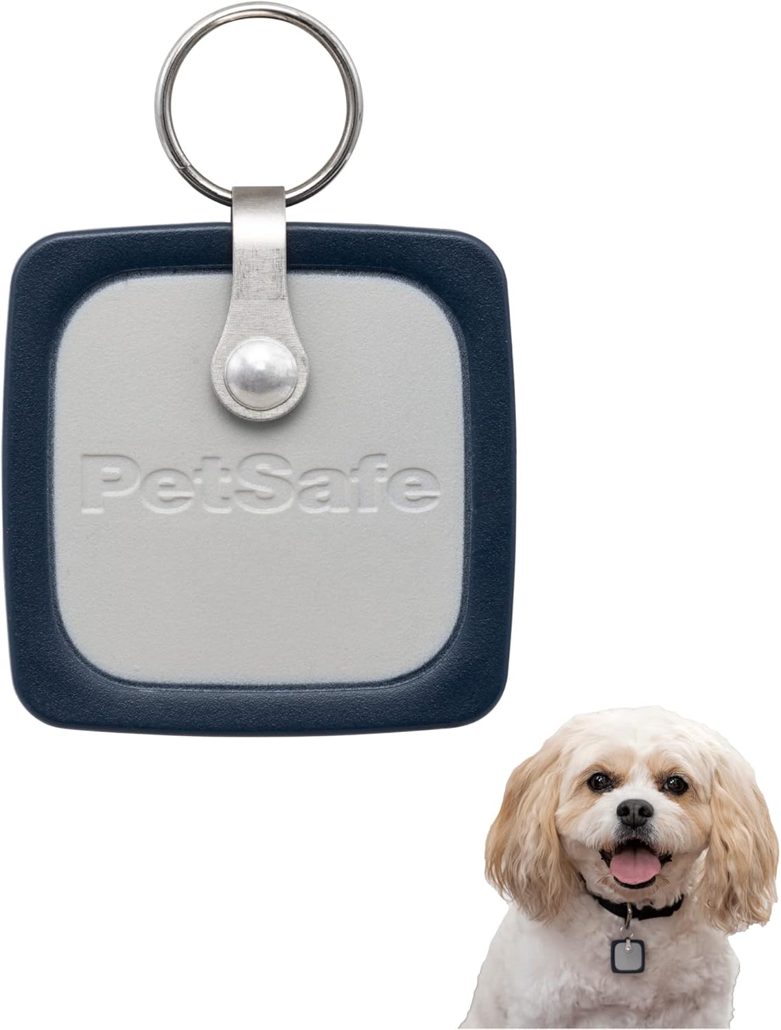 PetSafe® SmartDoor™ Connected Pet Door Key for Dogs and