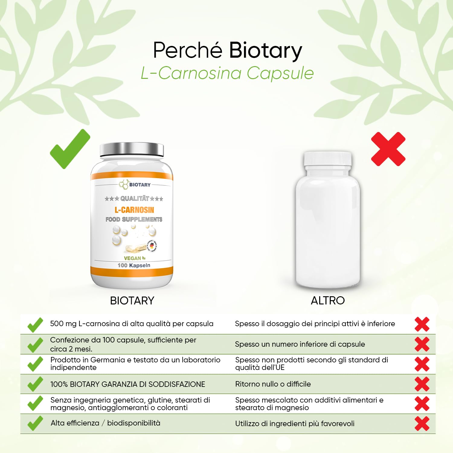 L-Carnosina 100 Capsule | 1000 mg per dose giornaliera | Inclusa scatola porta pillole | 100% Vegano | Alta dose e senza additivi | Alta biodisponibilità | Testato in laboratorio