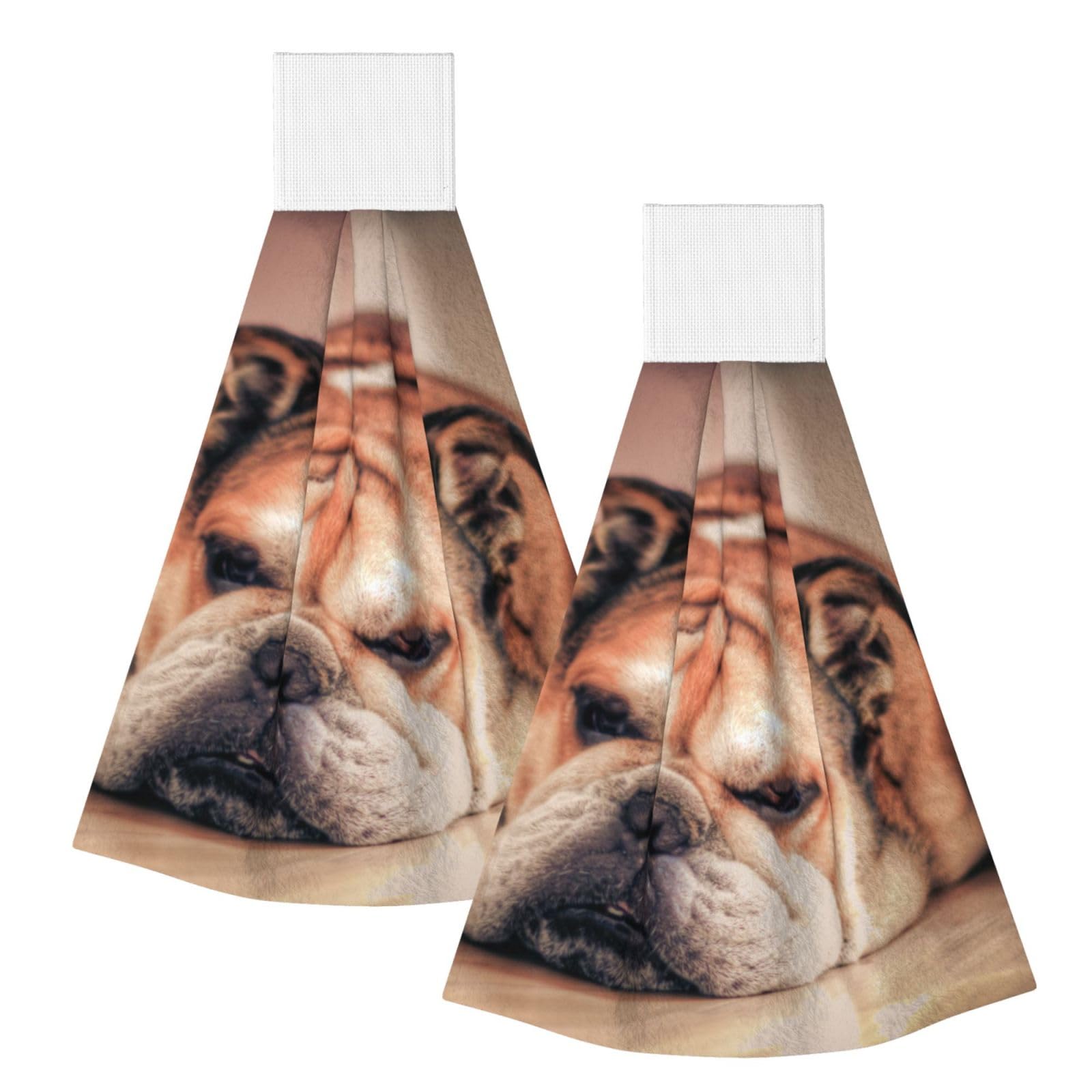 DOPKLNA English Bulldog, 2 Pcs Hanging Coral Fiber Hand Towels for Bathroom, Absorbent Kitchen Towels