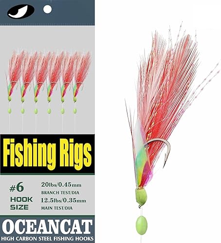 Miniatura 8 de OceanCat Juego de 10 anzuelos de pesca de plumas blancas y rojas, anzuelos de pesca para agua salada, agua dulce, 20#10#2#4#6#8#10#
