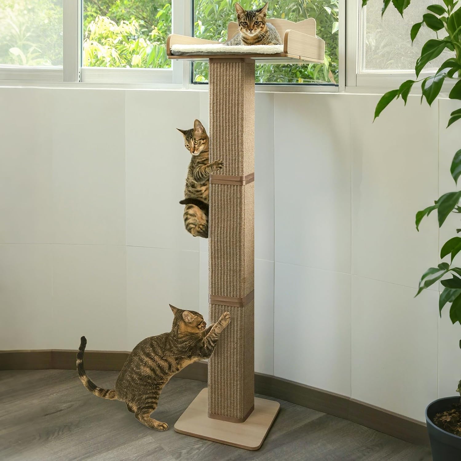Cat Window Perch with Thick Sisal Scratching Post, Cat Hammock for Window, 53.5" Adjustable Tall Cats Scratching Post with 2 Upgrade Suction Cups, Cats Window Bed with Fluffy Cushion, Jute