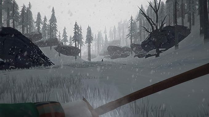 The Long Dark Ps4 輸入版 Amazon Co Jp