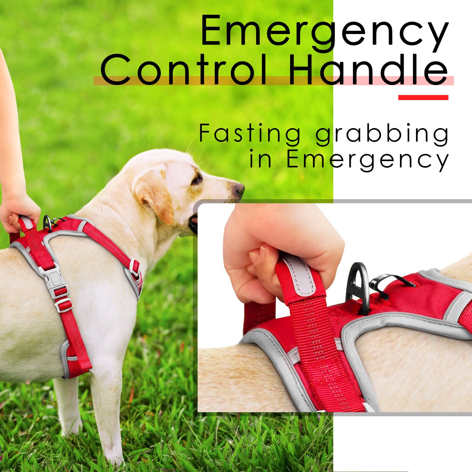 ThinkPet Imbracatura sportiva traspirante senza tirare, con manico, gilet di sicurezza imbottito riflettente per cani con guinzaglio neon riflettente XL, colore: rosso