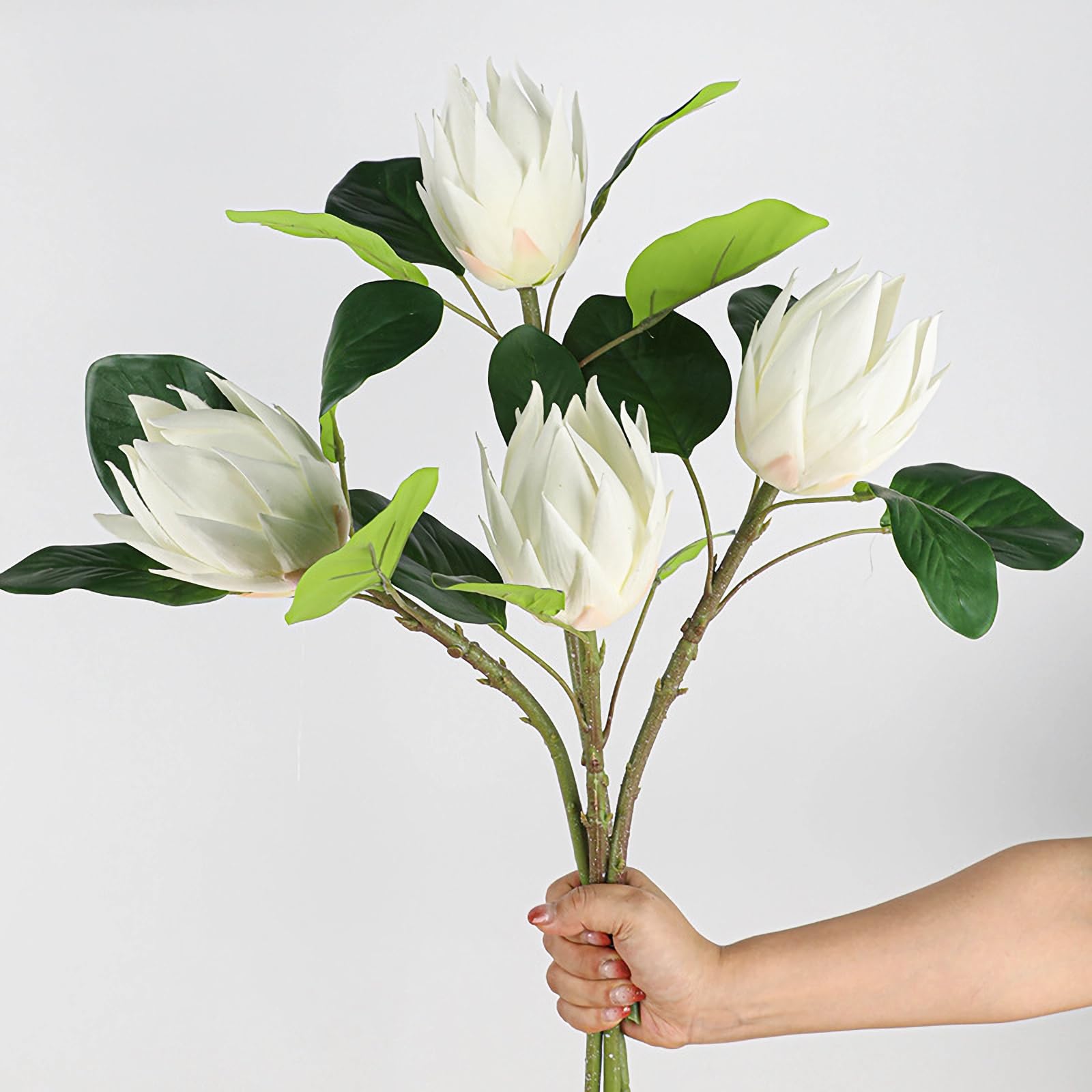 Amazon.com: Evlasumflow 2pcs Artificial King Protea Flowers 20