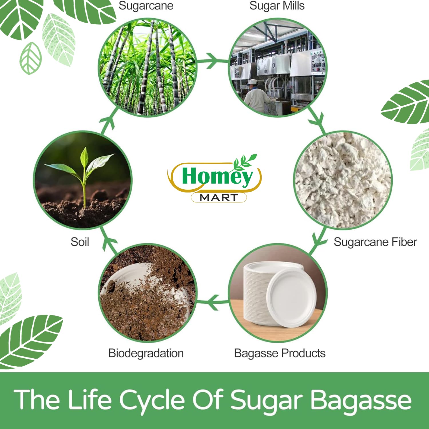 Disposable Extra Strength White Super Rigid Bagasse Plates 18cm Round 100% Compostable Biodegradable Sugarcane Plates for Family Events Schools Office BBQ Picnics Parties - Image 4