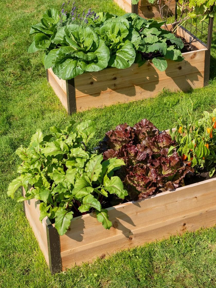 Gardener's Supply Company Raised Garden Bed | Outdoor Cedar Planter Box w/Extra Deep Height for Rooted Plants, Herbs Flowerbed & Vegetable Garden Wooden Box | 2' W x 8' L x 14" H