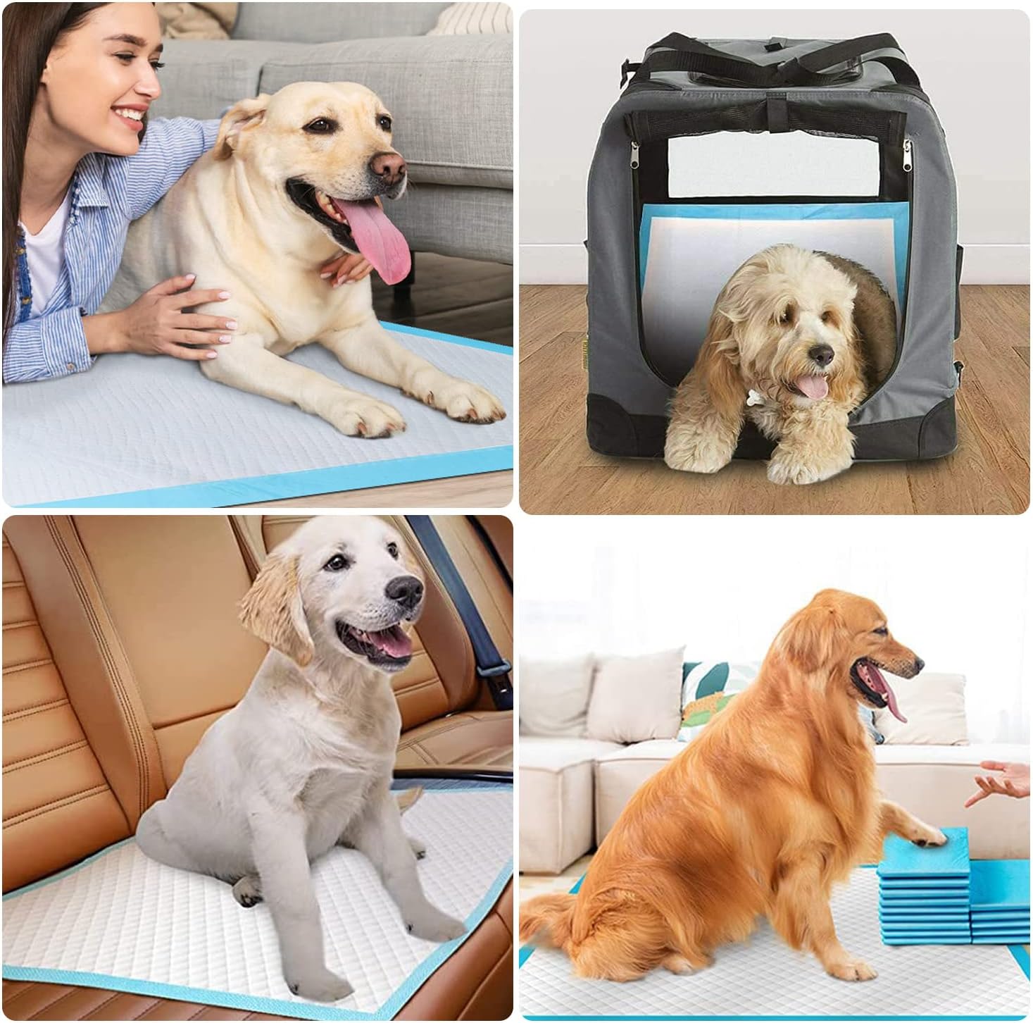 Dog and Puppy Pads, 20 Pack (23.6 x 35.4 inch) Large Absorbent Potty Pads, Disposable Training Pee Pads for Dogs, Dog Pads Diapers Leak-Proof 6-Layer Pee Pads with Quick-Dry Surface for Potty Training