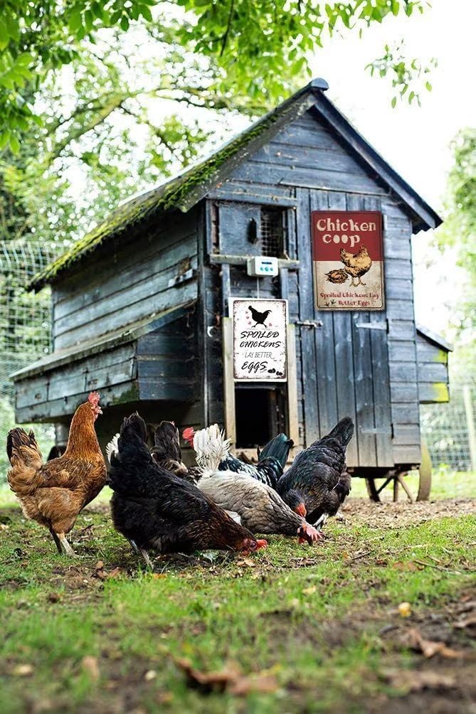 Spoiled Chickens - 8x12 inches Funny Chicken Coop Sign, Farmhouse Decor and Country Home Display, Hen House Farm Decoration, Fresh Egg Sign and Gift Idea, Use Indoors or Outdoors Metal Tin Sign image 4