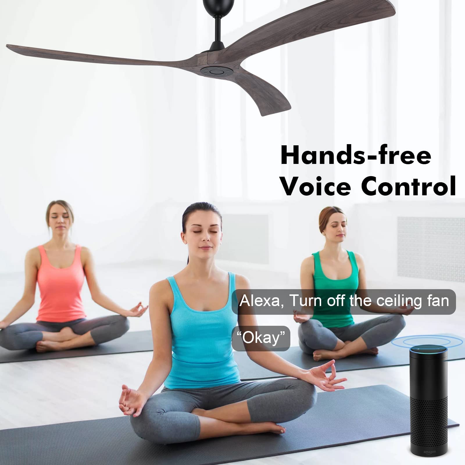 https://m.media-amazon.com/images/I/71VqpPLeWgL.jpg