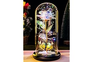 Pusuny Rose in Glass Dome