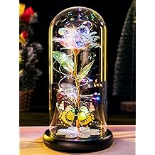 Valentines Day Rose Gifts for Her Birthday Gift for Women Galaxy Glass Rose in Glass Dome Forever Eternal Crystal Roses with Butterfly Valentines Day Gifts for Daughter Mom Wife Girlfriend Colorful