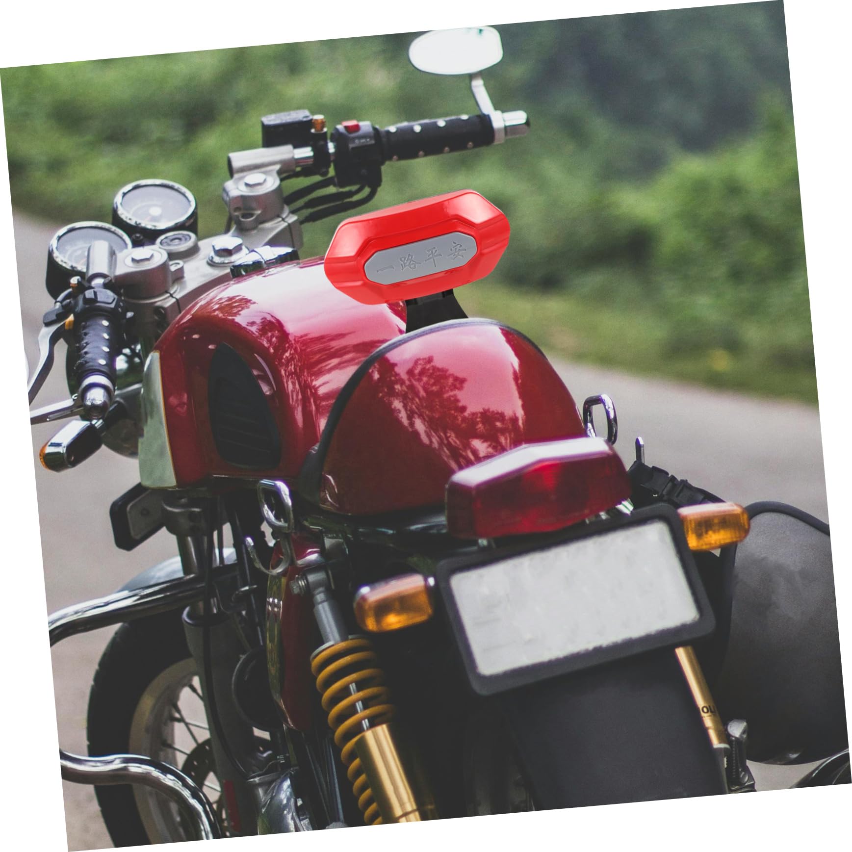 Cuscino Schienale per Bicicletta Elettrica e Moto, Rosso | Metallo e Plastica, 1 Pezzo, Stabile, Texture Robusta per Uso Posteriore