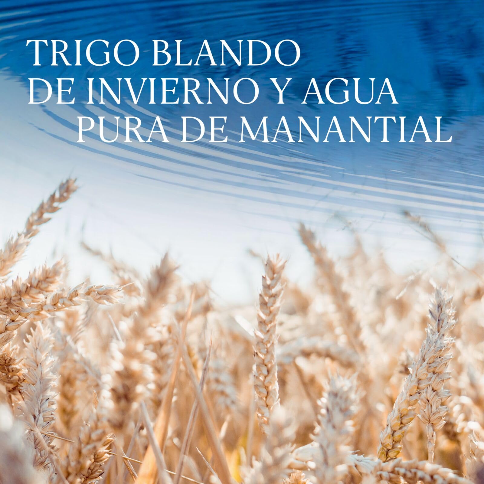 GREY GOOSE vodka prémium francés, elaborado exclusivamente con el mejor trigo francés y agua de manantial natural, 40 % ALC., 600 cl / 6l