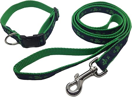 Green dog collar and leash Clearance
