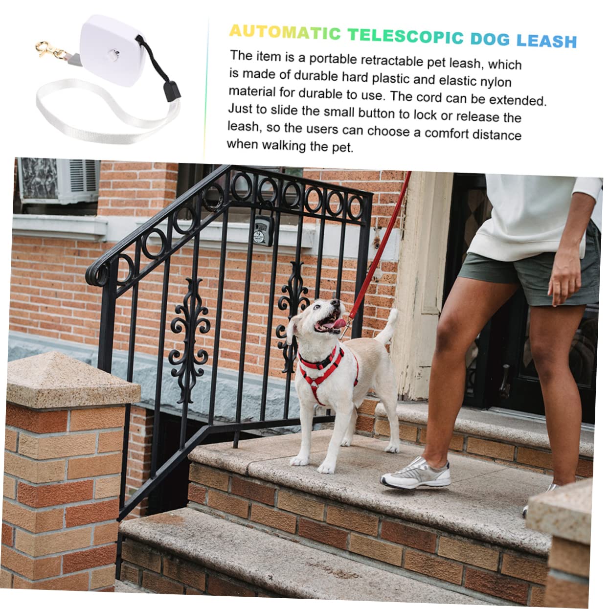 BESPORTBLE 4stücke Retractable Dog Leash Flexibles Band Für Kleine Und Mittelgroße Hunde Ergonomischer Griff Für Und Outdoor-aktivitäten