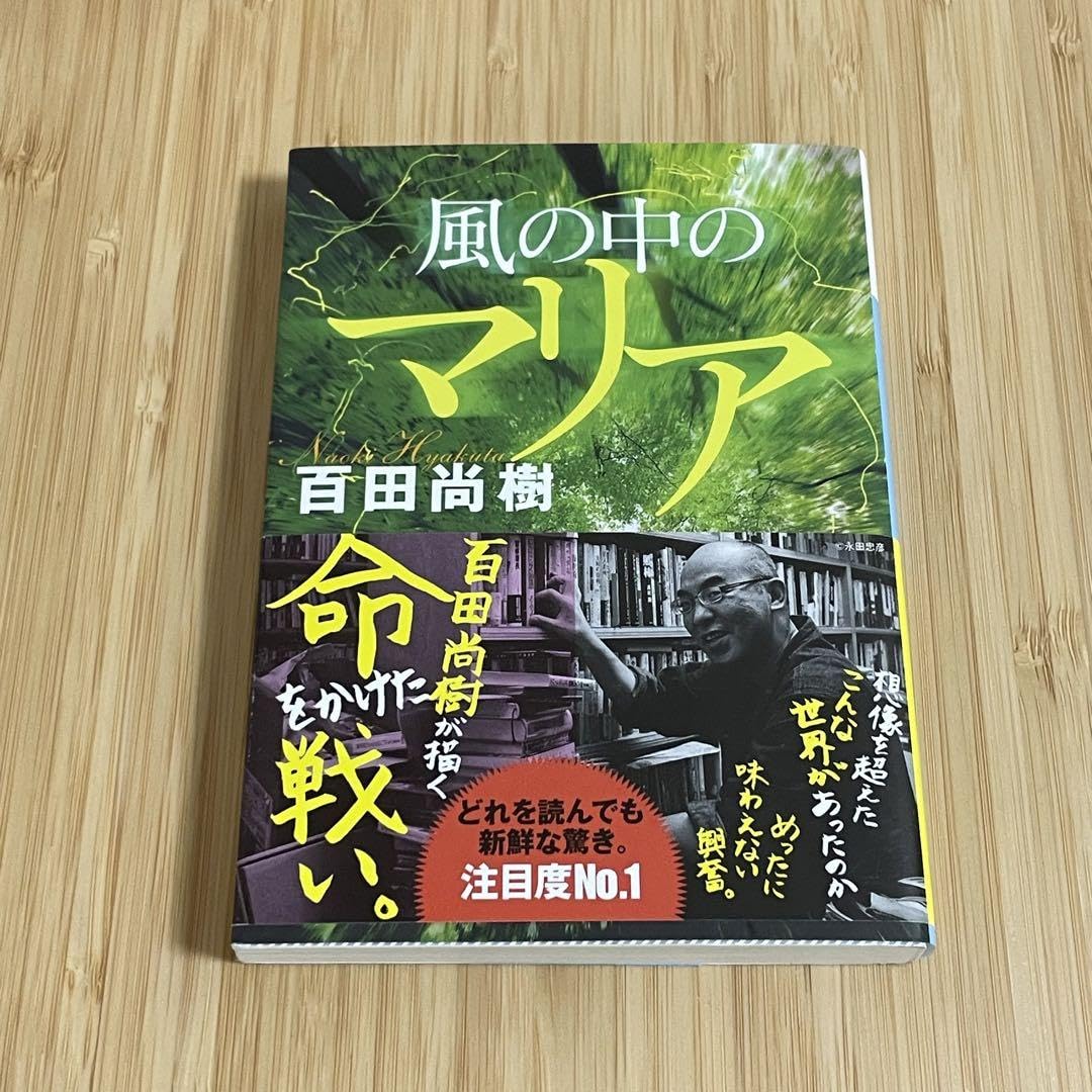 Amazon.co.jp: Maria in the Wind Naoki Momota : Toys & Games 