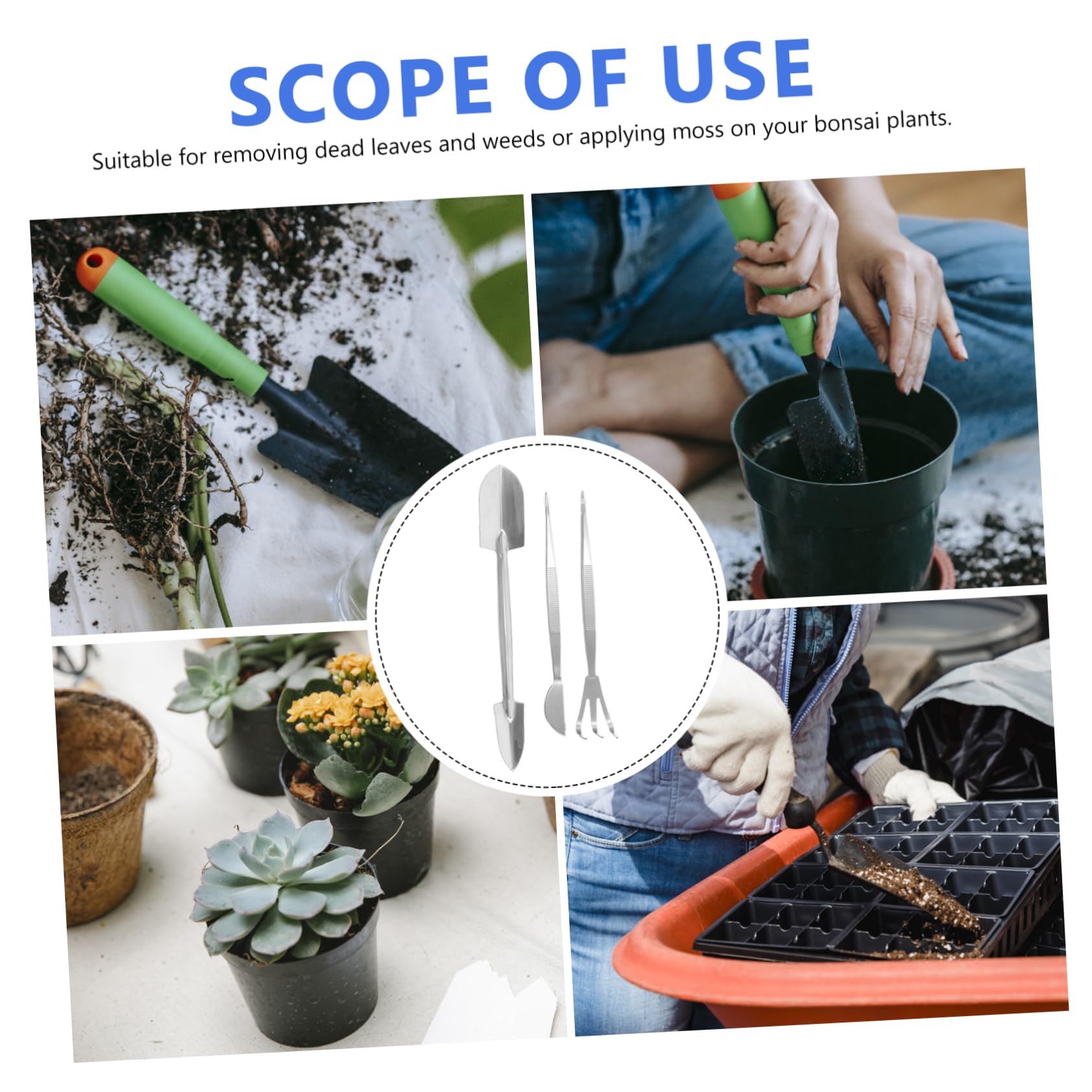 Toyvian 3sätze Präzisionswerkzeugset Für Bonsai -zangen Rake Und Doppelseitiger Für Pflanzenpflege Und Terraristik Für Garten Und Innenbereich