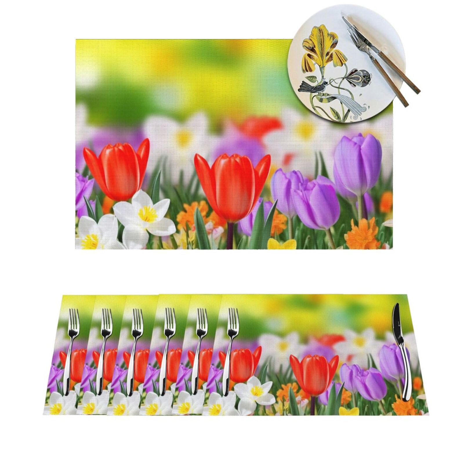 Sets de table lavables pour repas de jardin en famille lot de 6
