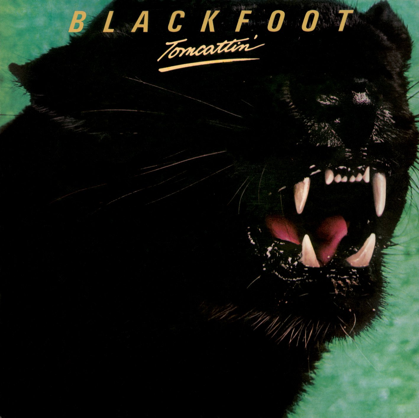 Blackfoot Tomcattin CD New 5055300358783