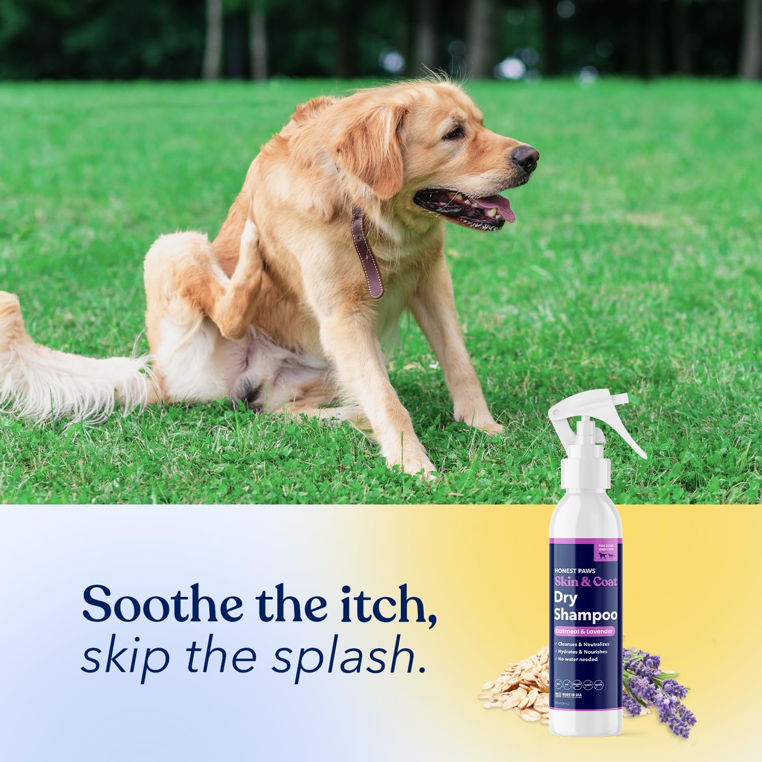 Honest Paws - Champú seco para perros, sin agua, sin enjuague, fórmula espumosa que reduce el picor, limpia, hidrata y nutre la piel seca