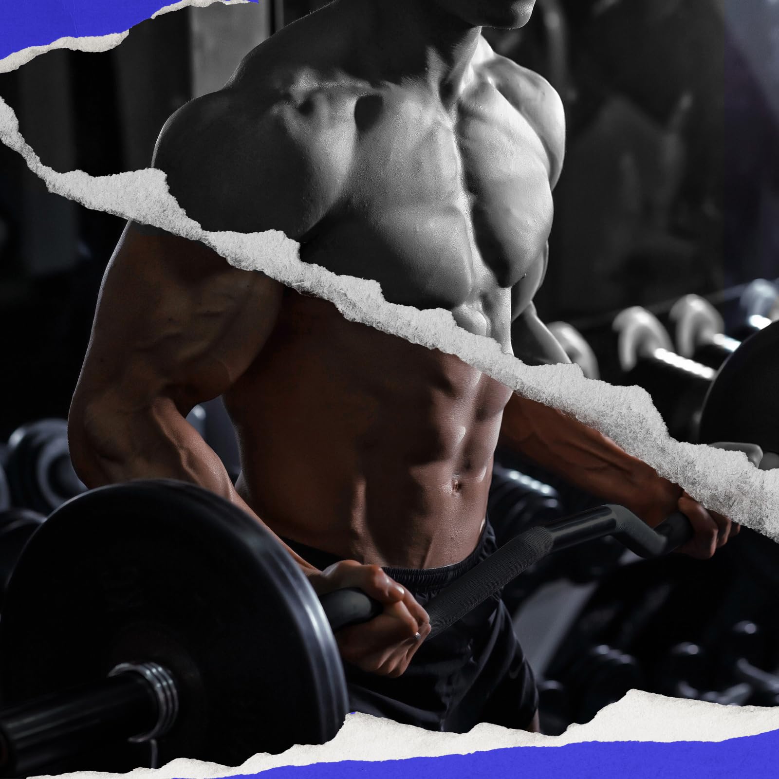 MAYCAN Bilanciere olimpico per curl, 1,5 m, con cuscinetto a bilanciere dotato di due collari a molla, adatto per sollevamento pesi, spinte dell'anca, squat e affondi