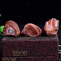 Vista 3 de Wixine 1 unids 3.53 oz natural áspero cornalina cruda piedra cruda cristal ágata roja Mozambique