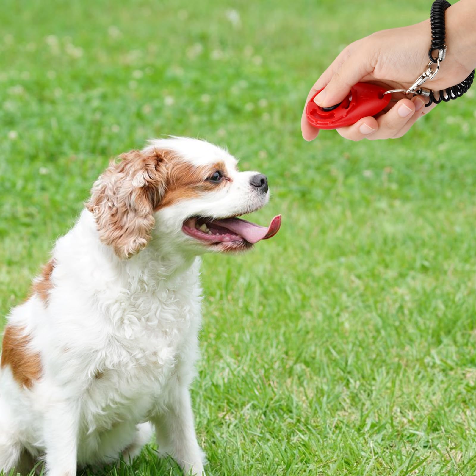 Training Clicker, Formazione Clicker per Cani, 9 Pzzie Animale Domestico Clickers, Clicker Addestramento Cani con Cinturino da Polso per Cane,Gatto,Cavallo