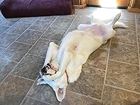 Review Image by Mike P. Mike P.