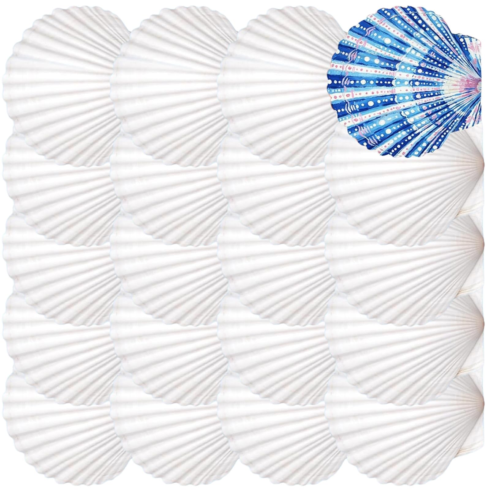 Zeiwohndc C Zeiwohnd 20Pcs Unfinished Natural White Seashells Paintable Natural White Shells For School Art Raft Project Ake Baking Decoration Painting Supplies Asings