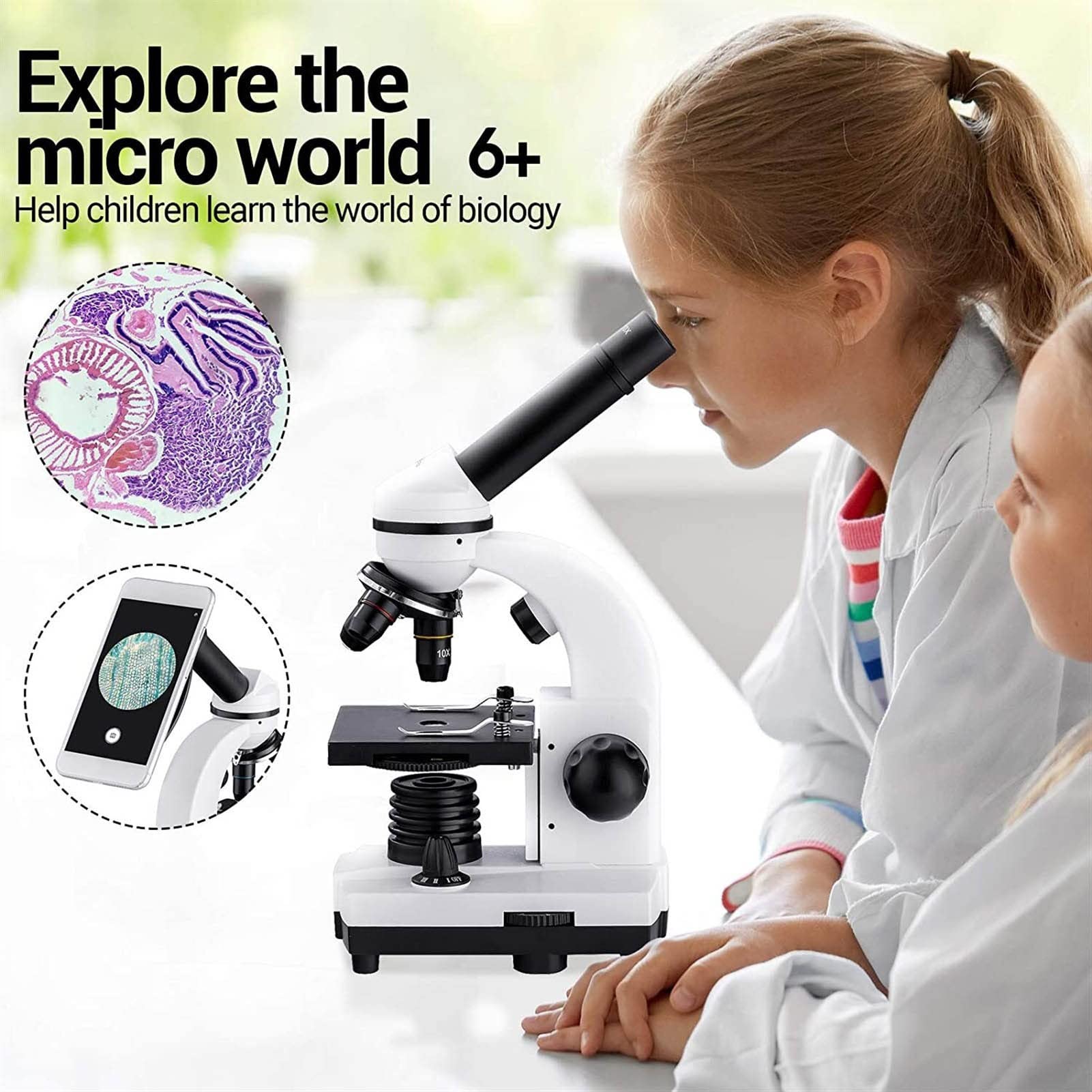 Bresser Junior microscoop voor beginners 40-640x met doorlicht led-verlichting en met 3 lenzen, inclusief uitgebreide accessoires zoals permanente preparaten, objectdragers en microscopiebestek, groen