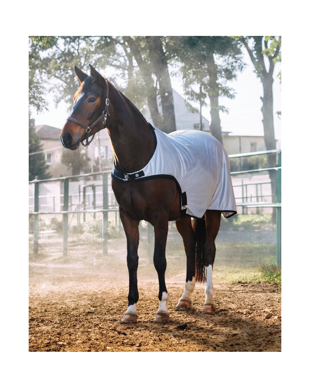 4Horses Fliegen-Führmaschinendecke Mesh Vigo, atmungsaktive Pferdedecke mit Schulterfreiheit, Kreuzbegurtung und Insektenschutz