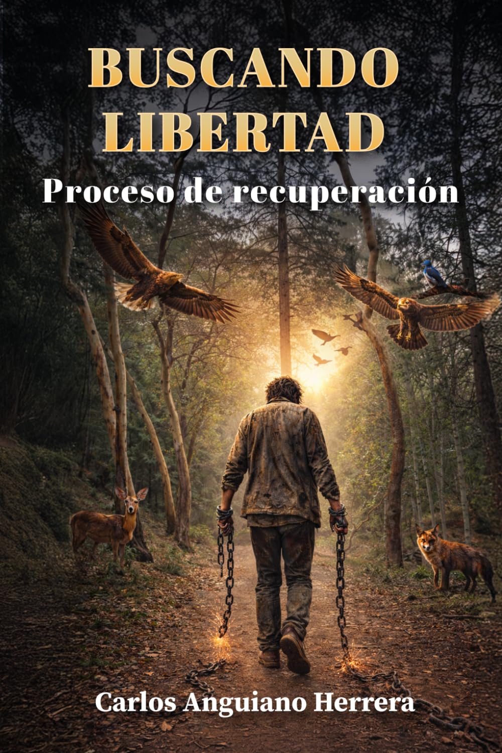 Buscando Libertad: Proceso de recuperación