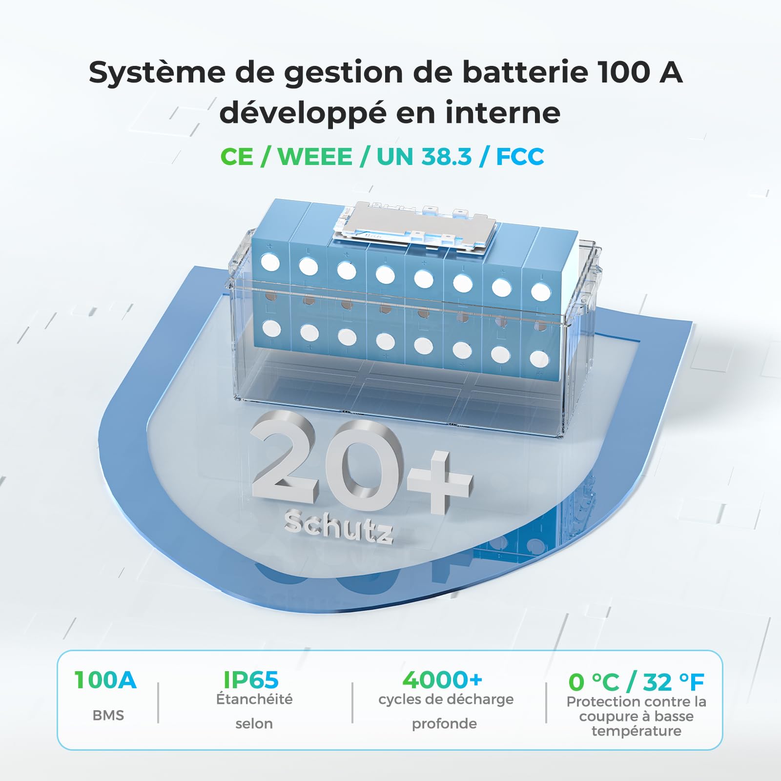 Dyness Batterie Lithium 24V 100Ah LiFePO4 avec BMS intégré 100A et Protection Basses Températures, Batterie Lithium à Décharge Lente pour Camping Car, Panneau Solaire, Bateaux Bass, Hors-Réseau