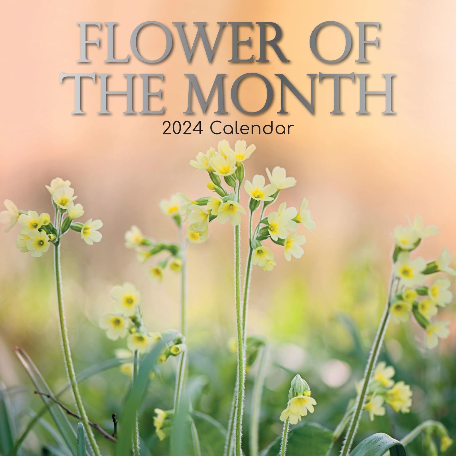 2024 Square Wall Calendar, Flower of the Month, 16Month Floral Theme with 180