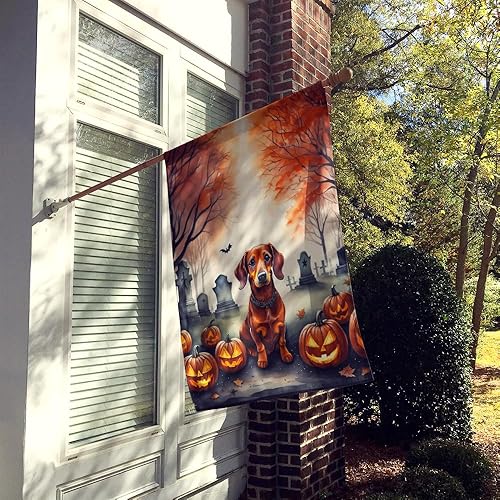 Miniatura 231 de Caroline's Treasures DAC2011GF - Bandera decorativa para jardín de Halloween con diseño de beagle para jardín, jardín, jardín, jardín, multicolor