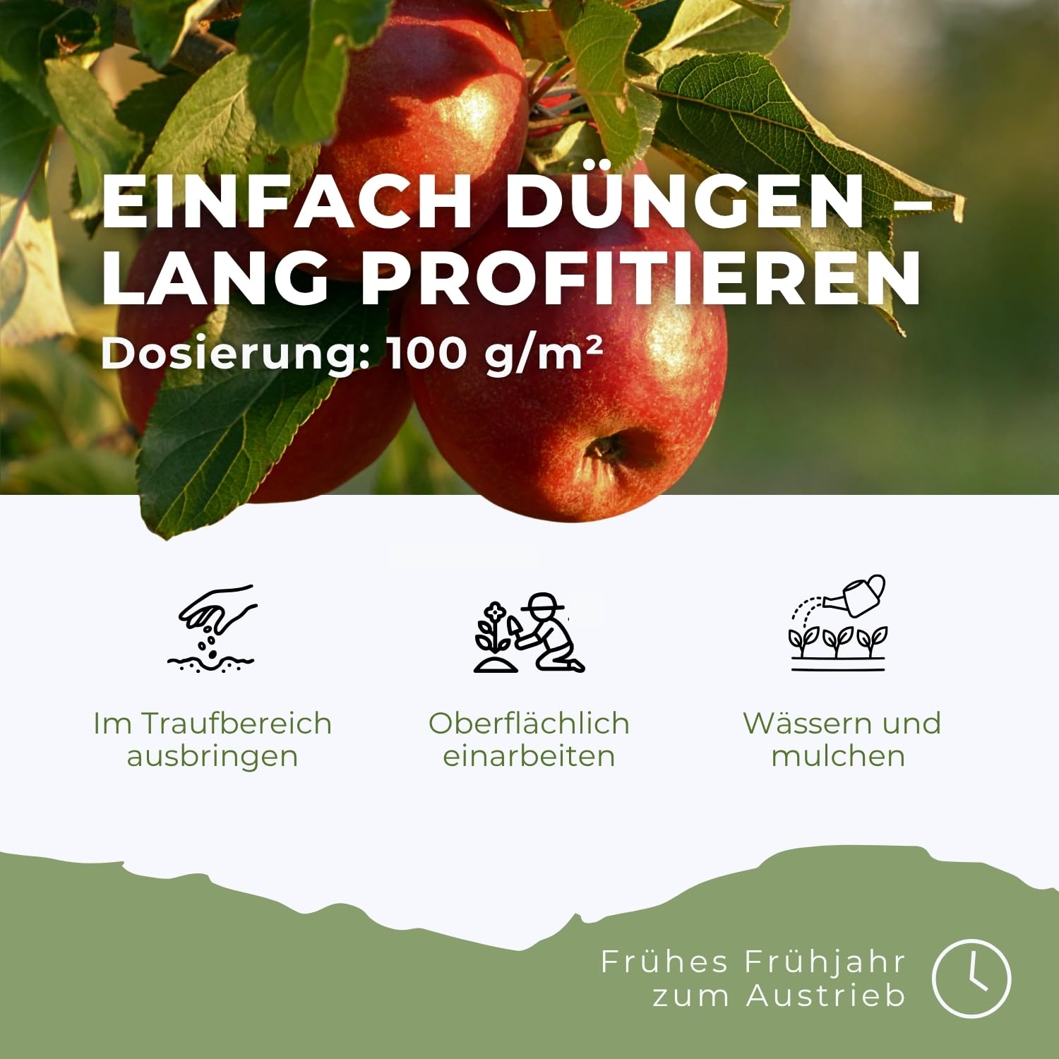 Flora Boost PRO Obstbaum Dünger Langzeitwirkung I NPK 8-4-5 Granulat für Apfel-, Birn-, Kirsch- & Pflaumenbäume I Organisch-mineralischer Baumdünger für gesundes Wachstum & reiche Ernten