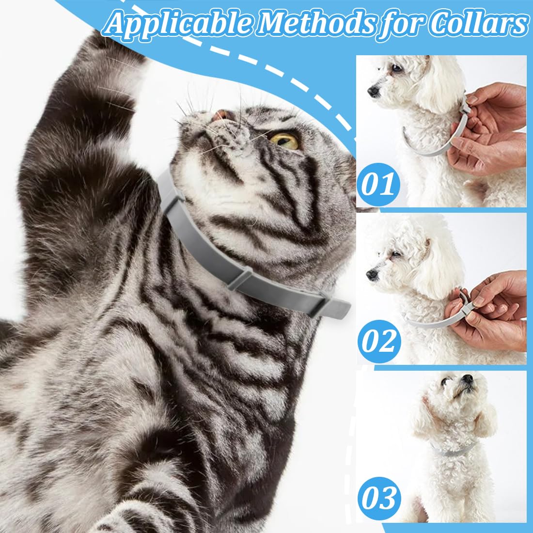 Collier Anti Puces pour chat, 8 Mois De Protection Efficace, Collier Anti Tique Chien, Réglable Et Étanche, Convient Aux chats De Toutes Tailles, réduit le risque de leishmaniose – Gris