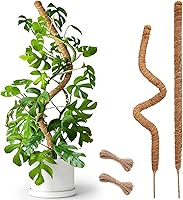 Vista 14 de Paquete de 2 postes de musgo, poste de musgo flexible de 28 pulgadas para plantas Monstera, postes de musgo para plantas trepadoras