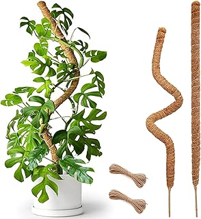 Soupiar 2 Pack 25" Moss Pole, Bendable Moss Pole for Plants Monstera, Moss Poles for Climbing Plants Indoor, Handmade Coco Coir Plant Pole Sticks Support Stakes for Potted Plants