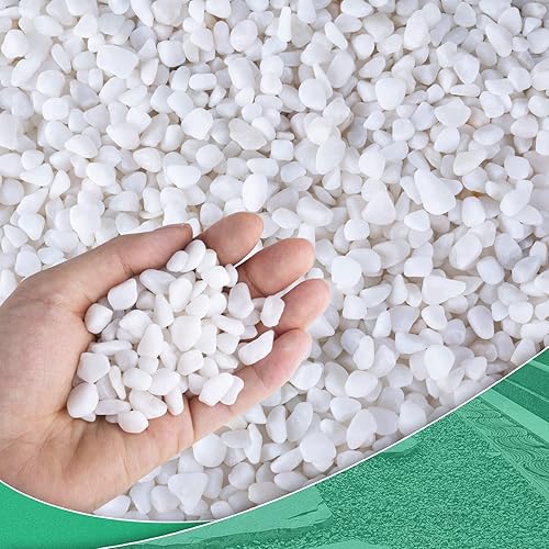 Rocas suculentas para plantas, pequeños guijarros para macetas de 2.8 libras, grava de guisantes, pulido a granel, tierra de arena, pequeñas piedras