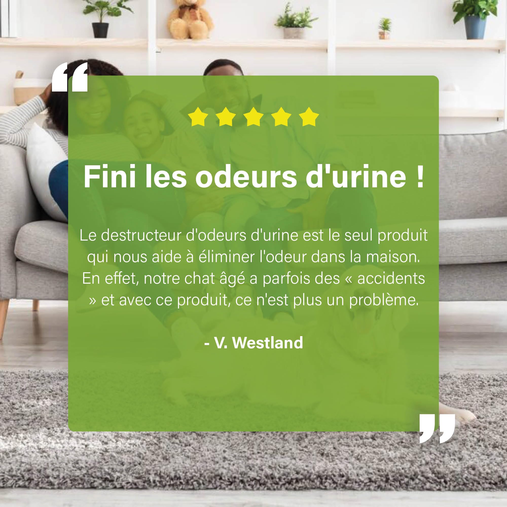 UF2000 4Pets Éliminateur d'Odeur d'Urine 2500ml | Recharge | Concentré 1 sur 5 | sans Parfum | 100% Biologique | Utilisation Polyvalente | Élimine Les Odeurs | Chiens, Chats et Petits Animaux