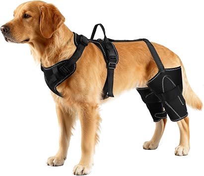 Vivifying Dog Hip & Leg Support Harness for Mobility Assistance, Adjustable Rear Leg Brace with Lift Handle for Injured or Senior Dogs, Joint Stabilizing Hind Leg Support for Walking, Recovery L