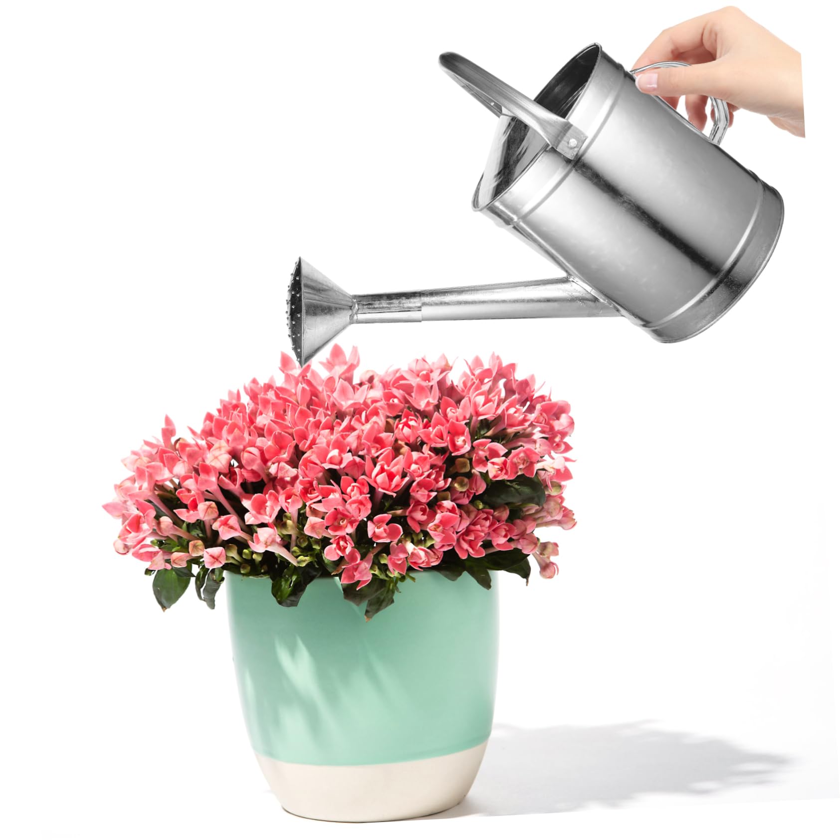 Yardwe Spruzzino Per Piante Beccuccio Manico Ergonomico Per Giardinaggio e Irrigazione Di Fiori e Piante Indoor Ed Outdoor