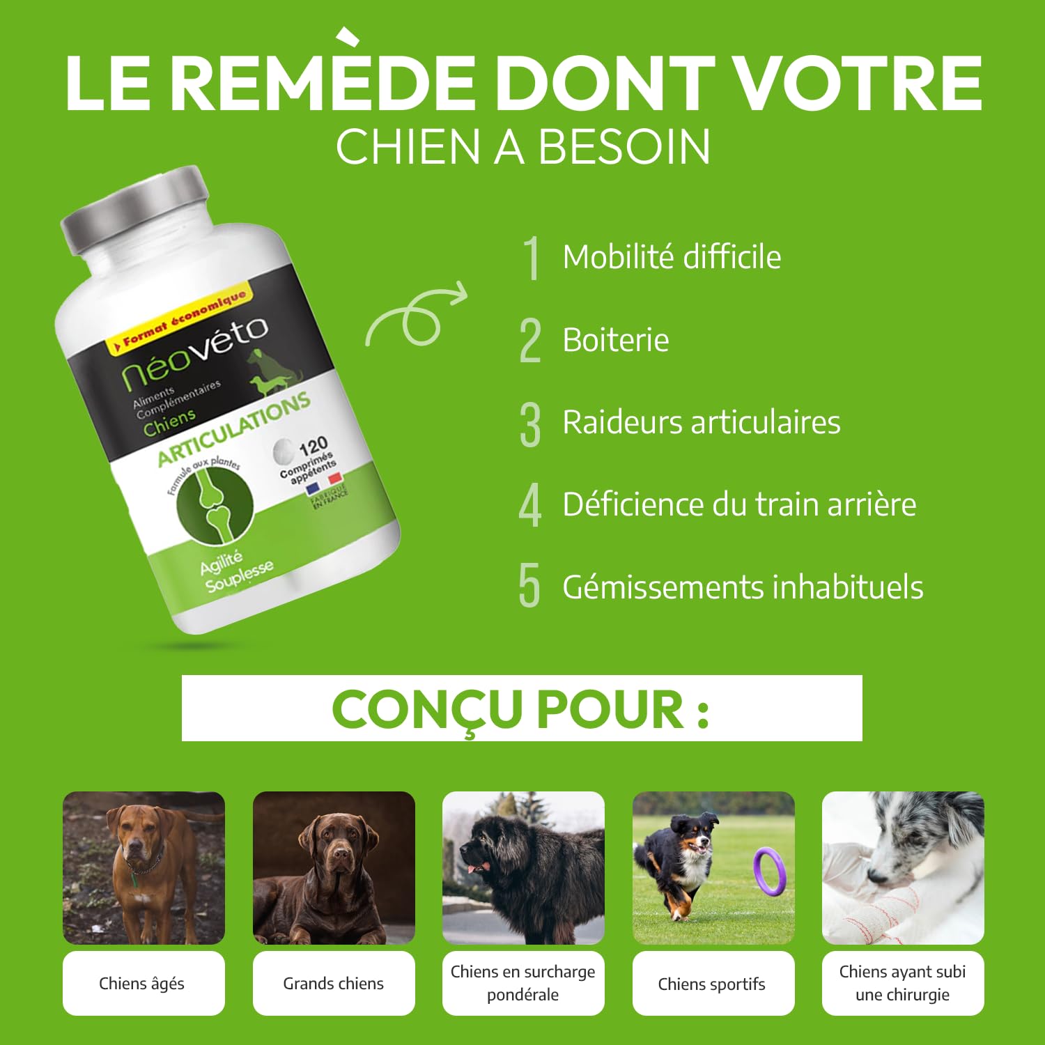 Articulations Chien - 120 comprimés naturels - Arthrose Chien - Anti-inflammatoire - Actifs agréés par Les Services vétérinaires - Fabriqué en France
