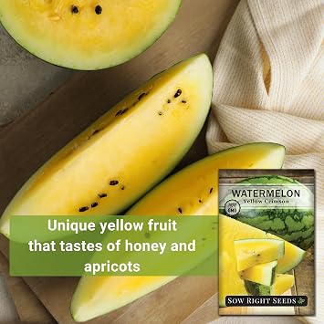Sow Right Seeds - Yellow Crimson Watermelon Seed for Planting Outdoors
