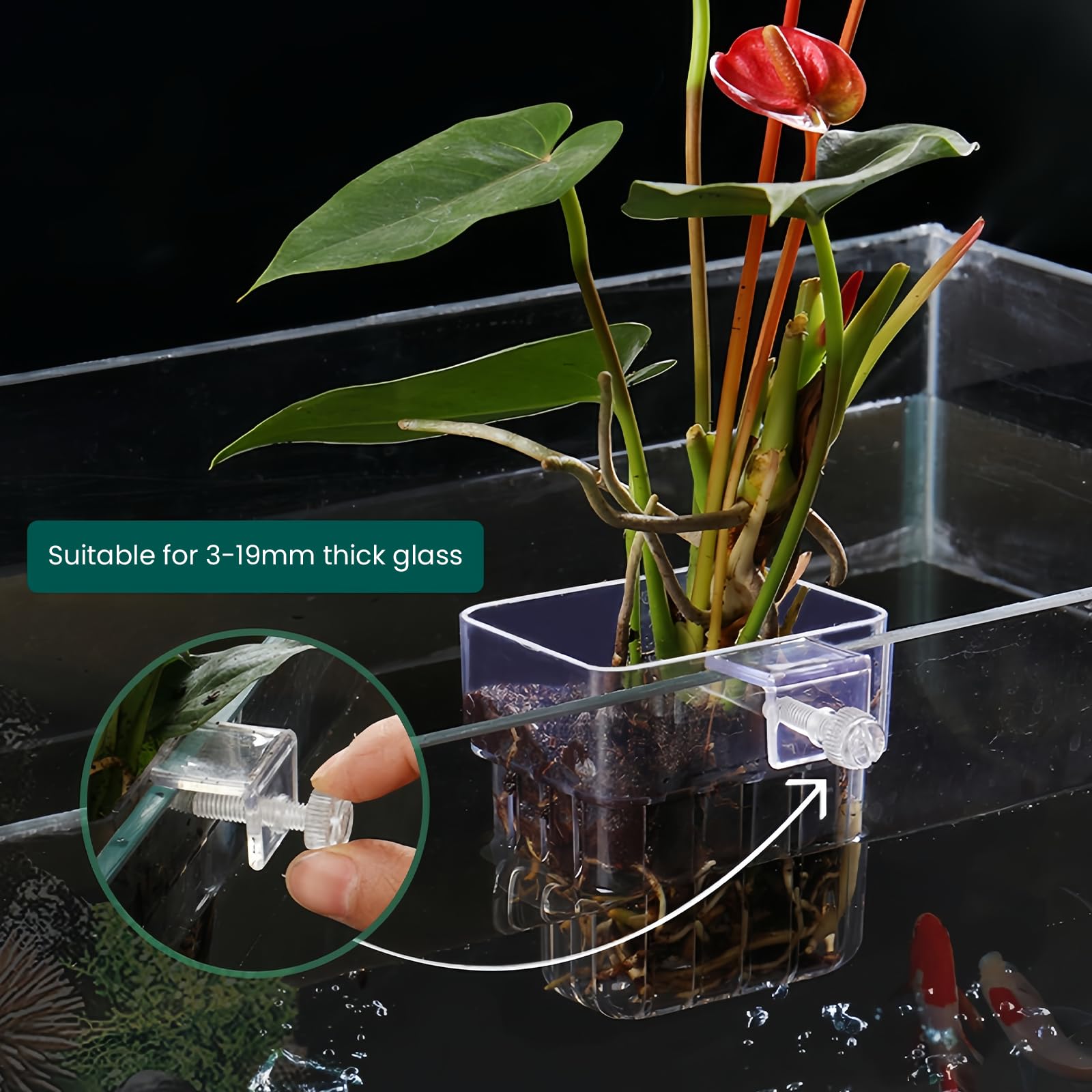 GOMETY Lot de 6 supports de plantes d'aquarium transparents pour aquarium, paniers à plantes suspendus, avec trous, support pour plantes aquatiques, décoration d'aquarium