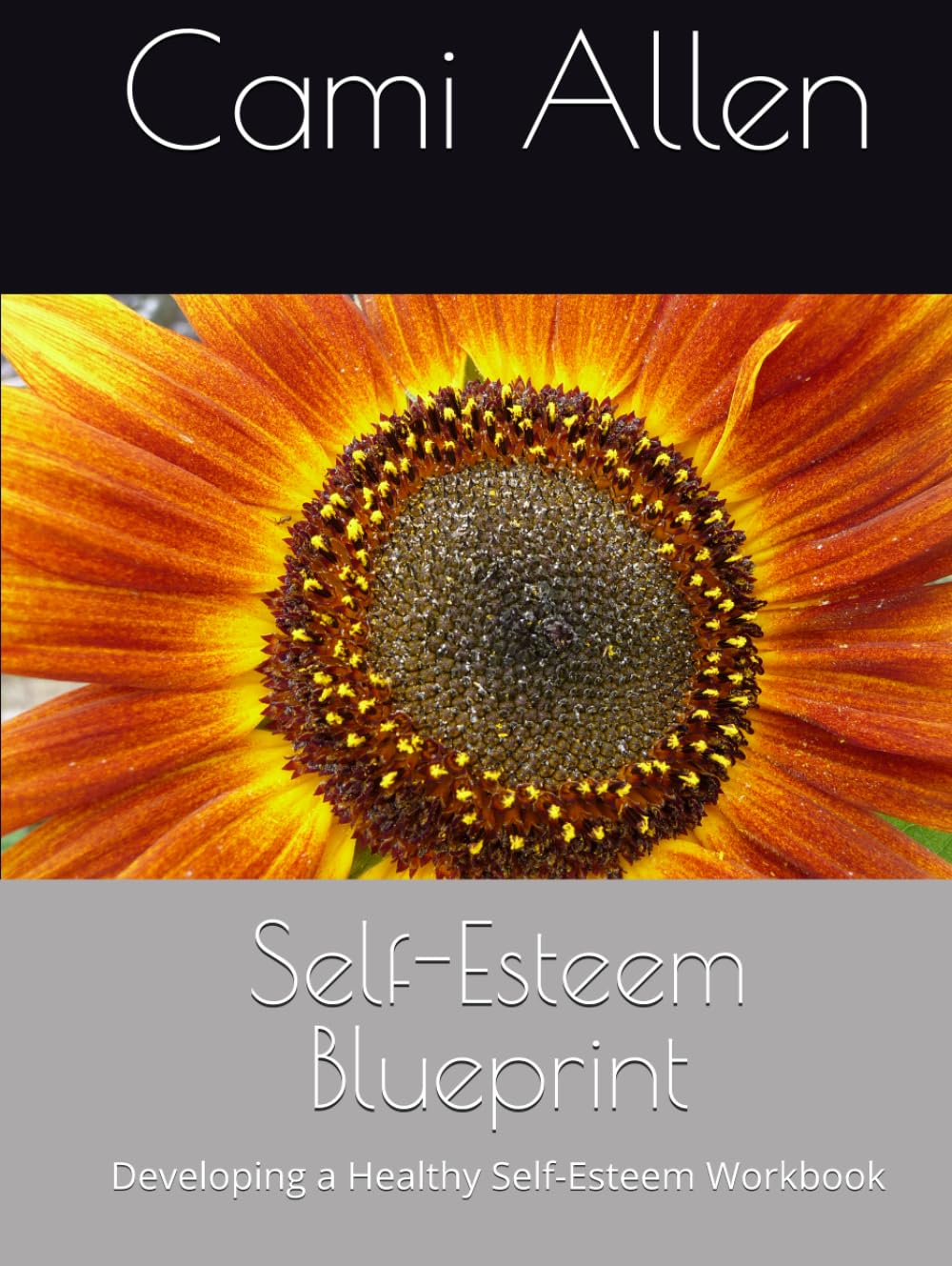 Self-Esteem Blueprint: Developing a Healthy Self-Esteem Workbook
