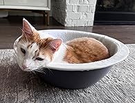 Review Image by Kindle Customer Kindle Customer