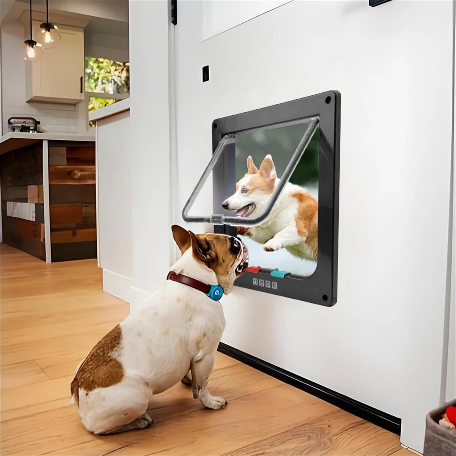 Gateras para Puertas Puerta pequeña de plástico ABS for Mascotas con Cerradura Seguridad 4 vías, Puertas Finas Transparentes for Gatos y correderas Resistentes a la Intemperie